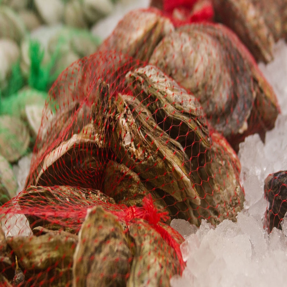 Buy Chesapeake Bay Blue Point Oysters All Fresh Seafood