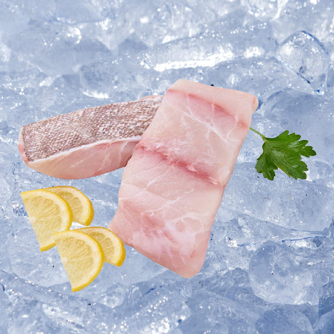 Red Grouper Buy Wild Caught Red Grouper Portions All Fresh Seafood