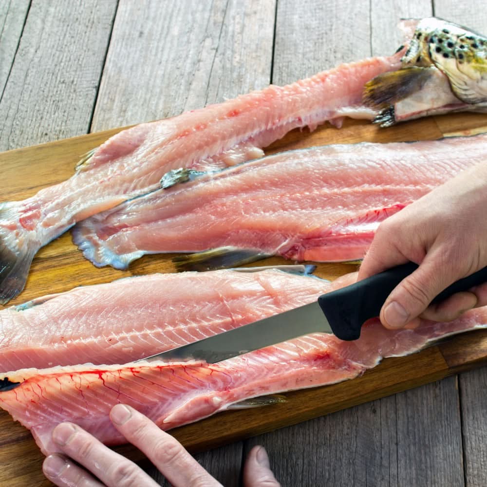 Idaho Rainbow Trout, Butterflied