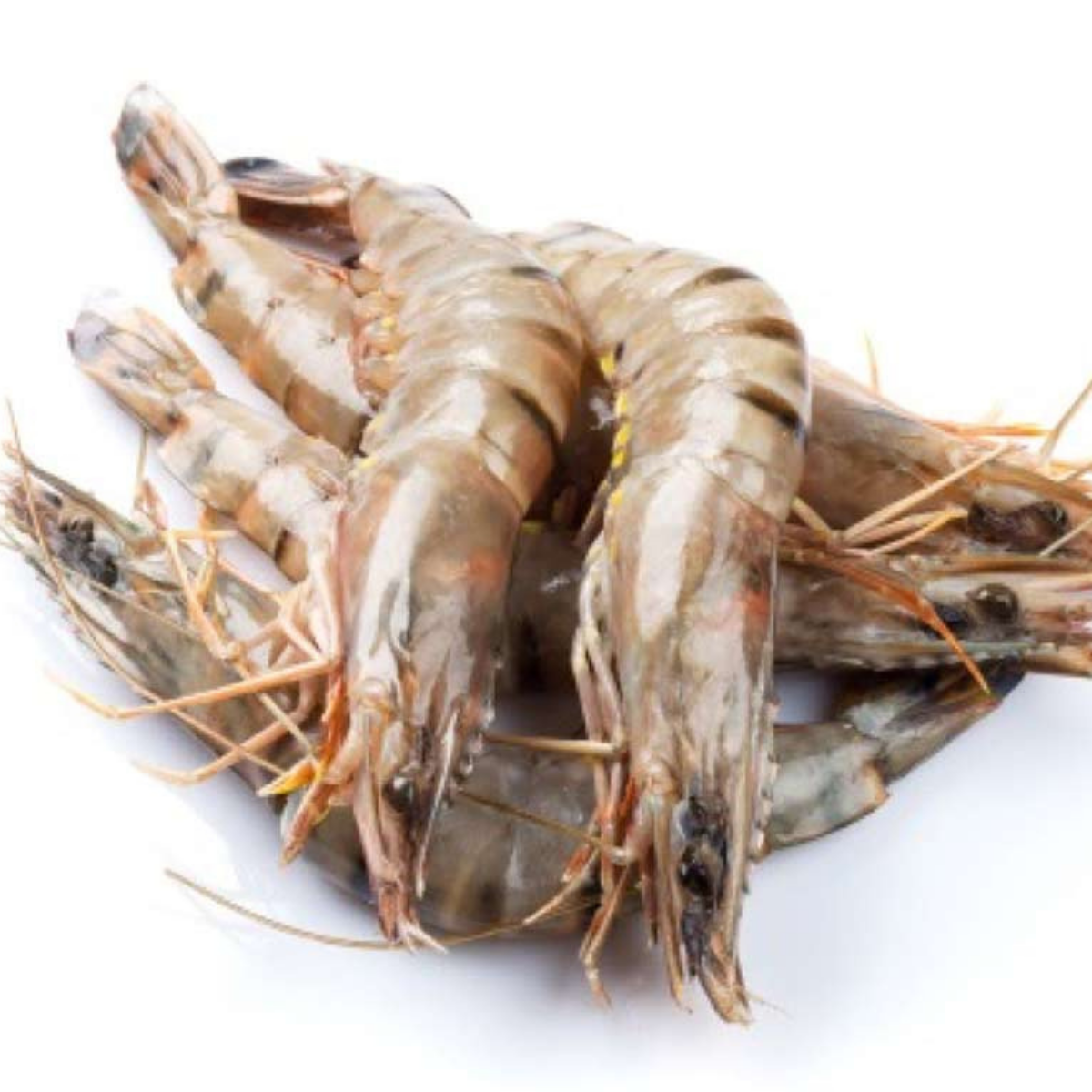 Wild Prawns, Head On, U5. Chem Free, 1 lb
