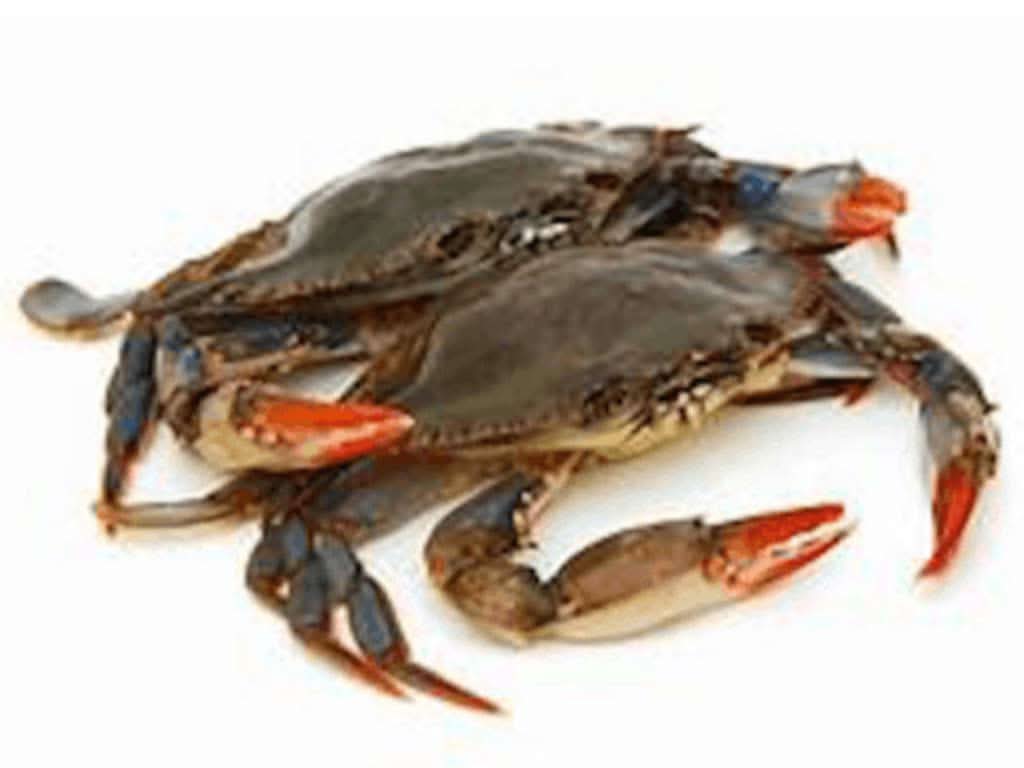 Maryland Soft Shell Crabs, Large, Cleaned, 6 or 12 pcs