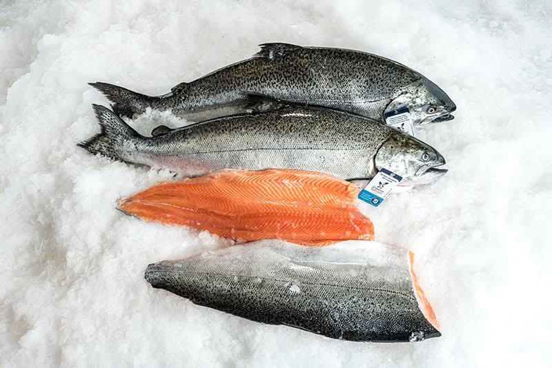 King Salmon, Fillet, Sustainably Farmed, Pacific, Lions Gate Fisheries