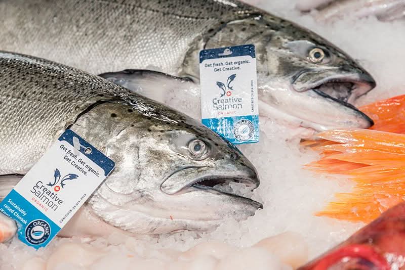 King Salmon, Fillet, Sustainably Farmed, Pacific, Lions Gate Fisheries