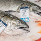 King Salmon, Whole, 7-8 LB Fish,  Sustainably Farmed, Pacific, Lions Gate Fisheries