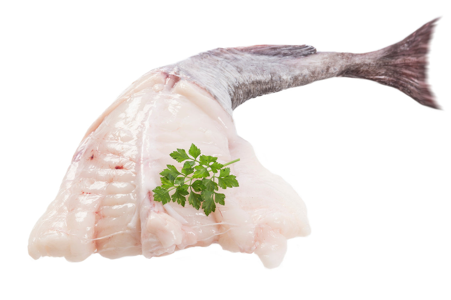 Monkfish Whole, Wild, 2-2 1/2lb Fish