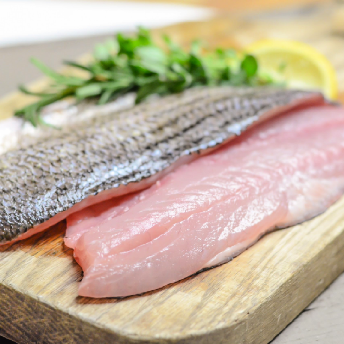 Striped Bass
