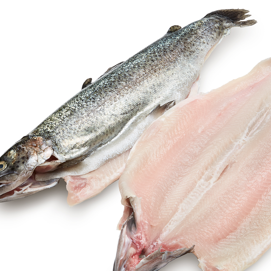 https://allfreshseafood.com/cdn/shop/products/wholetrout_1084x1084_HD.png?v=1708836000&width=1946