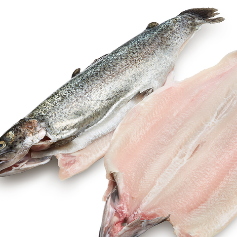 Idaho Rainbow Trout, Butterflied